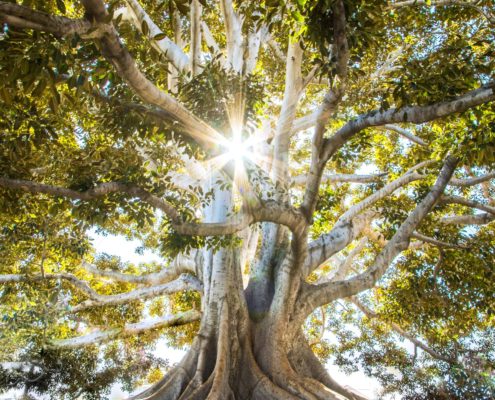 Anxiety and addiction treatment patient practicing mindful breathing in a quiet, natural setting
