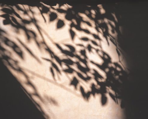 Soft natural light through a window representing the quiet moments of recognition that a loved one may be hiding substance use