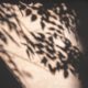 Soft natural light through a window representing the quiet moments of recognition that a loved one may be hiding substance use