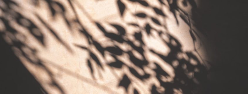 Soft natural light through a window representing the quiet moments of recognition that a loved one may be hiding substance use