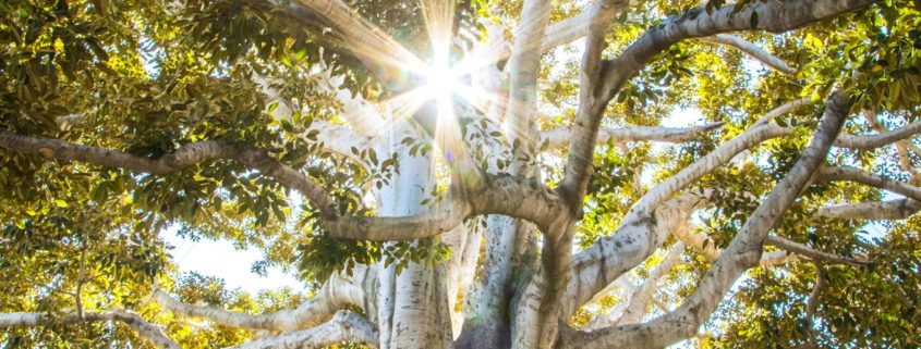 How to talk to a loved one about rehab — two people having a calm, compassionate conversation outdoors near Santa Cruz