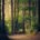 Sunlight filtering through tall redwood trees on a quiet forest path