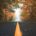 what happens during the first week of residential addiction treatment - forest path symbolizing early recovery