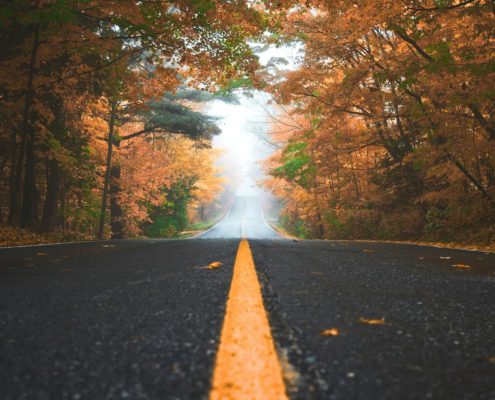 what happens during the first week of residential addiction treatment - forest path symbolizing early recovery