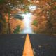what happens during the first week of residential addiction treatment - forest path symbolizing early recovery