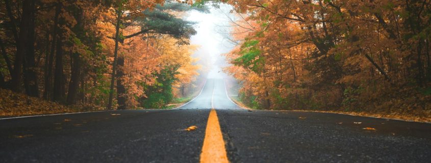 what happens during the first week of residential addiction treatment - forest path symbolizing early recovery