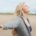 Levels of care in addiction treatment — detox, residential, PHP, IOP, and outpatient continuum | Bodhi